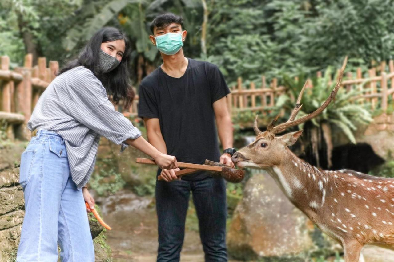 Safari Resort Puncak Εξωτερικό φωτογραφία